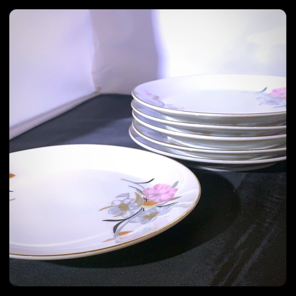Six small hand painted plates. 6” diameter